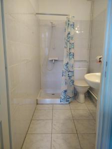 a bathroom with a shower curtain and a toilet at Hotel du Berry in Perpignan