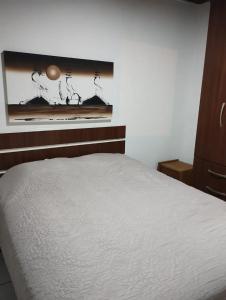 1 dormitorio con 1 cama y una foto en la pared en Apartamento Rafaelli, en Florianópolis