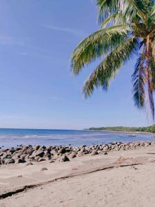 a beach with rocks and a palm tree and the ocean at A Villas Resort & Restaurant in Zamboanguita