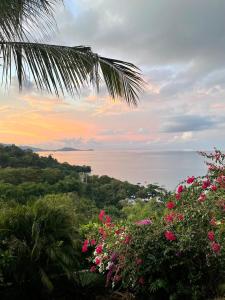 einen Blick auf das Meer bei Sonnenuntergang mit rosa Blumen in der Unterkunft La Villa Trocas in Koungou