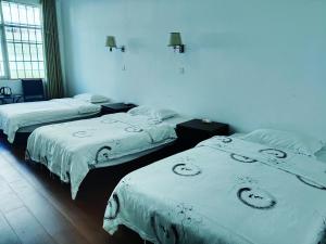 张家界大庸家民宿天门山索道站店DYJ Residential hostel客房内的一张或多张床位