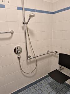 - Baño con cabina de ducha en Ferienwohnung en Erlauf