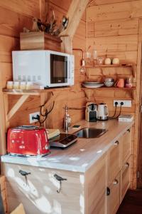 eine Küche mit einer Theke mit einer Mikrowelle und einer Spüle in der Unterkunft Cabane Rouge-Gorge in Auriac-du-Périgord