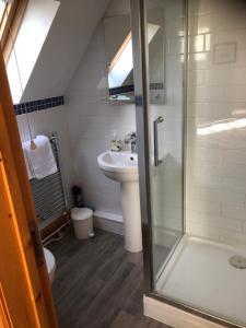 a bathroom with a shower and a sink at Little Glebe in Sherborne