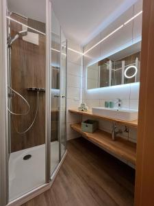 W łazience znajduje się prysznic i umywalka. w obiekcie Ferienwohnungen Lichtenegger w mieście Kamp