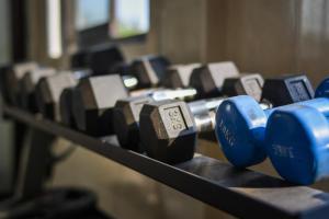 a row of blue dumbbells sitting on a shelf at Balam Bali Villa in Mengwi