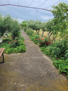 a path through an apple orchard with flowers and a bench at MYONNA Style Slobozia 