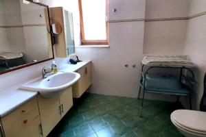 a bathroom with a sink and a toilet and a mirror at Maso de Propian in Tesero
