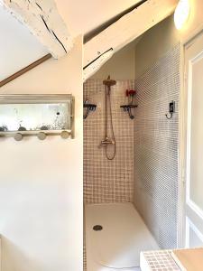 a bathroom with a shower and a toilet in it at Maison B in Bergerac