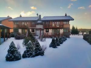 uma casa com muitas árvores de Natal na neve em Apartmány Friends Tatry em Veľká Lomnica