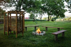 a group of benches and a fire in a park at RanczoLatyczyn 