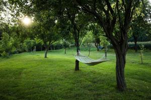 a hammock hanging from a tree in a field at RanczoLatyczyn 
