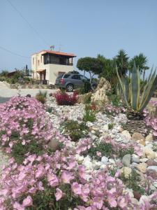 a field of pink flowers in front of a house at VILLA ANTONIS in Kos