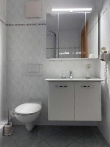 a bathroom with a toilet and a sink and a mirror at Süderhaus Hiddensee App 8 in Neuendorf