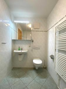 ein Badezimmer mit einem WC, einem Waschbecken und einem Spiegel in der Unterkunft Süderhaus Hiddensee App 9 in Neuendorf