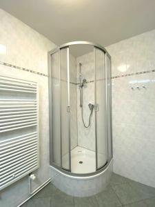a shower with a glass door in a bathroom at Süderhaus Hiddensee App 9 in Neuendorf