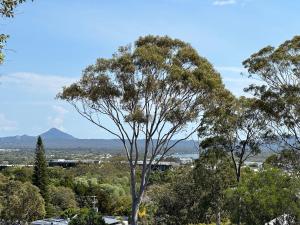 uma árvore em primeiro plano com montanhas em segundo plano em Oasis Rooftop Spa Apartment em Noosa Heads