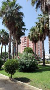een park met palmbomen en een groot gebouw bij Veneziola Apartamento in San Blas