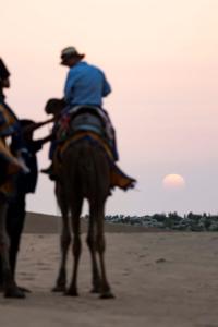 Hosté ubytování Nomads heaven desert camp jaisalmer