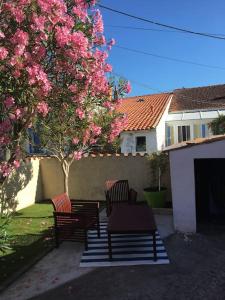 un patio con due panche e un albero con fiori rosa di MAISON PAISIBLE , à 6 minutes des plages, vélos. a Le Château-dʼOléron