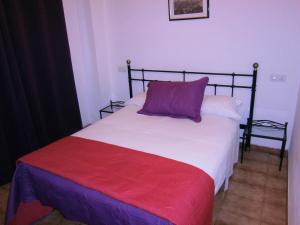 Postel nebo postele na pokoji v ubytování Hostal Don Pepe