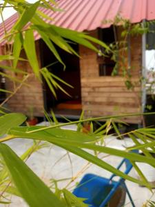 Zahrada ubytování Adams Wood House Ayurveda Homestay Kochi