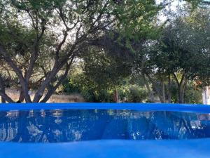 una piscina azul con árboles en el fondo en Casapangue, en Casablanca