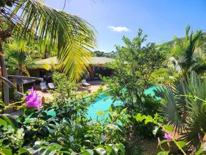 a resort with a swimming pool in a garden at Villa African Queen - St Barth in Gustavia
