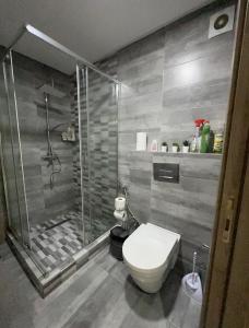a bathroom with a shower and a white toilet at Central Park House - 70m² in Mohammedia