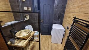a bathroom with a toilet and a sink at Apartamentul ALEX in Lupeni