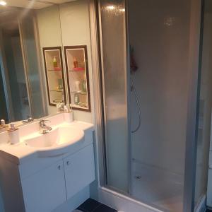 a bathroom with a sink and a shower at VILLA avec piscine sauna barbecue ping-pong boxe - proche Gare RER - JO Paris 2024 Olympic Games in Combs-la-Ville