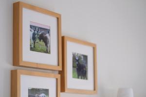 Fotografie z fotogalerie ubytování Op d'n Stolberg v destinaci Weert
