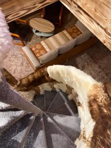 Posedenie v ubytovaní Apartamenty i Domki Taterka