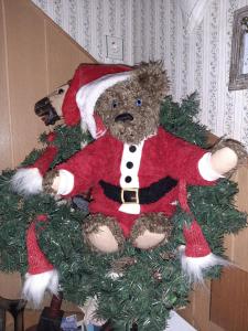 a teddy bear sitting in a christmas tree at FW Bines Rosengarten in Scherlebeck