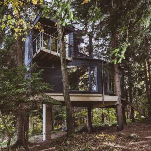 a tree house in the woods at Treehouse Karpacz in Karpacz