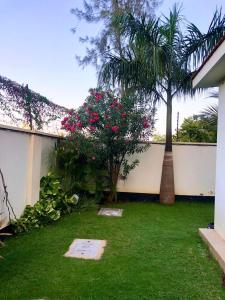a garden with a palm tree and a wall at Izmira Serviced Apartment Studio in Mombasa
