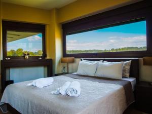 Un pat sau paturi într-o cameră la Luxury Villa Kassandrino