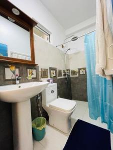 a bathroom with a sink and a toilet and a shower at Hotel Apollo in Hikkaduwa
