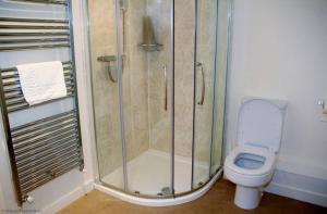 ein Bad mit einer Dusche und einem WC in der Unterkunft Goldridge in Alton