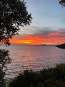 a sunset over a body of water with trees at Sunset of Pelion in Kato Gatzea