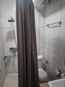 a bathroom with a shower curtain and a toilet at Studio in Cedar Lodge 3 in Bansko