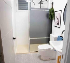 a bathroom with a shower and a toilet and a sink at La casa del elefante in Valladolid