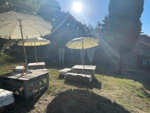 twee picknicktafels met paraplu's in een veld bij B&B Podere Camaiano in Roccastrada