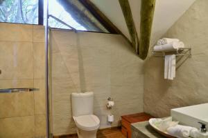 a bathroom with a toilet and a glass shower at Victoria Falls Safari Suites in Victoria Falls
