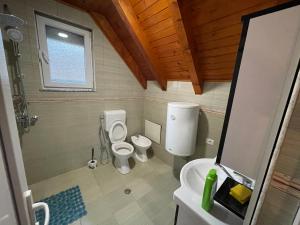 La salle de bains est pourvue de 2 toilettes, d'une douche et d'un lavabo. dans l'établissement Big garden wood house, à Kolgecaj