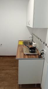 a kitchen counter with a sink and a frying pan on it at Apartamento Puente Romano in Salamanca