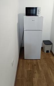 a white refrigerator with a microwave on top of it at Apartamento Puente Romano in Salamanca