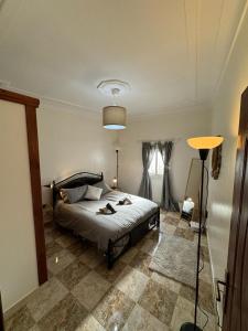 a bedroom with a bed with two cats laying on it at Dar Saphire Apartments in Chefchaouen