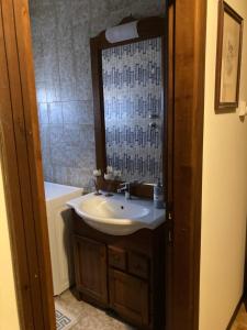 ein Bad mit einem Waschbecken und einem Spiegel in der Unterkunft Andrea in Castelfiorentino