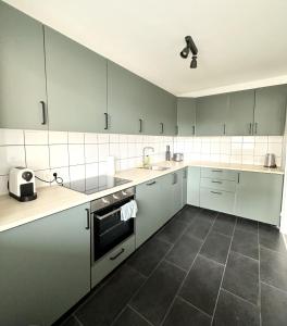 uma cozinha com armários brancos e cinzentos e um lavatório em Cozy Bamberg City Apartment em Bamberg
